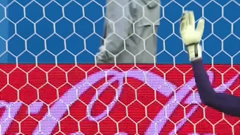 Messi's BEST FIFA World Cup goal!