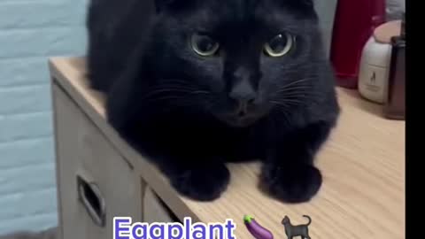 Eggplant