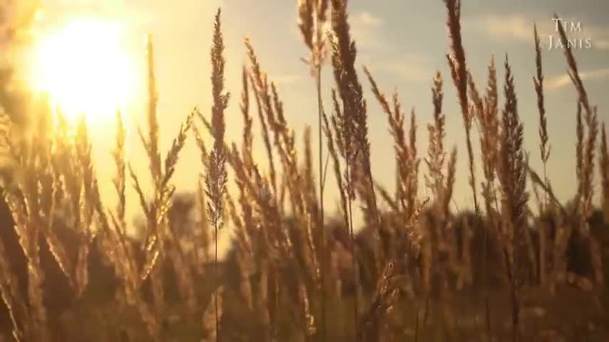 Peaceful instrumental Music, Piano and Flute, Tim Janis