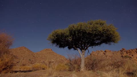 African Night Sky