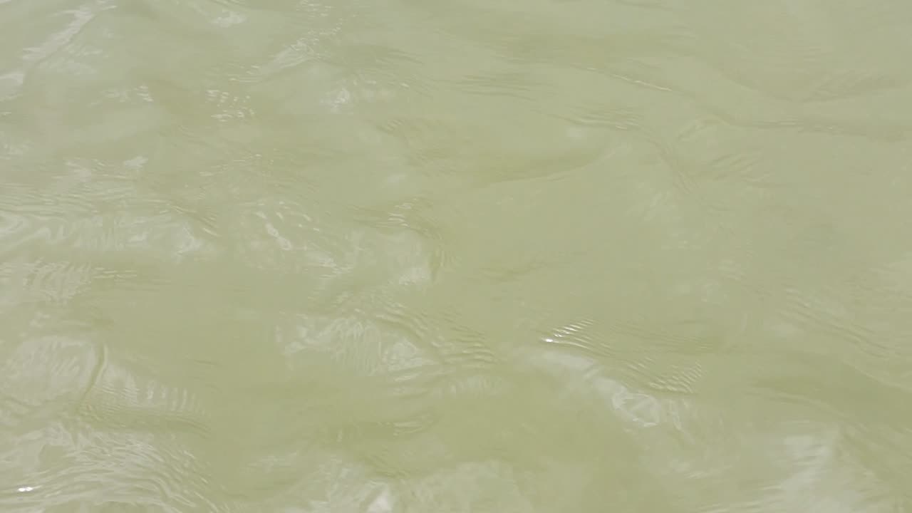 Atravessando uma lagoa entre as dunas de Paracuru(CE)