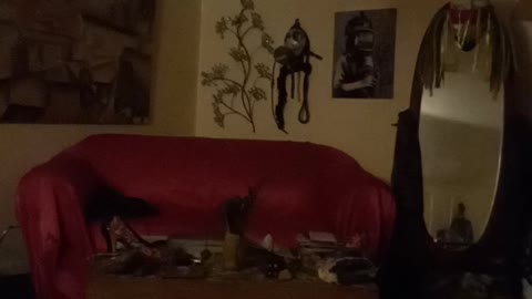 Test video