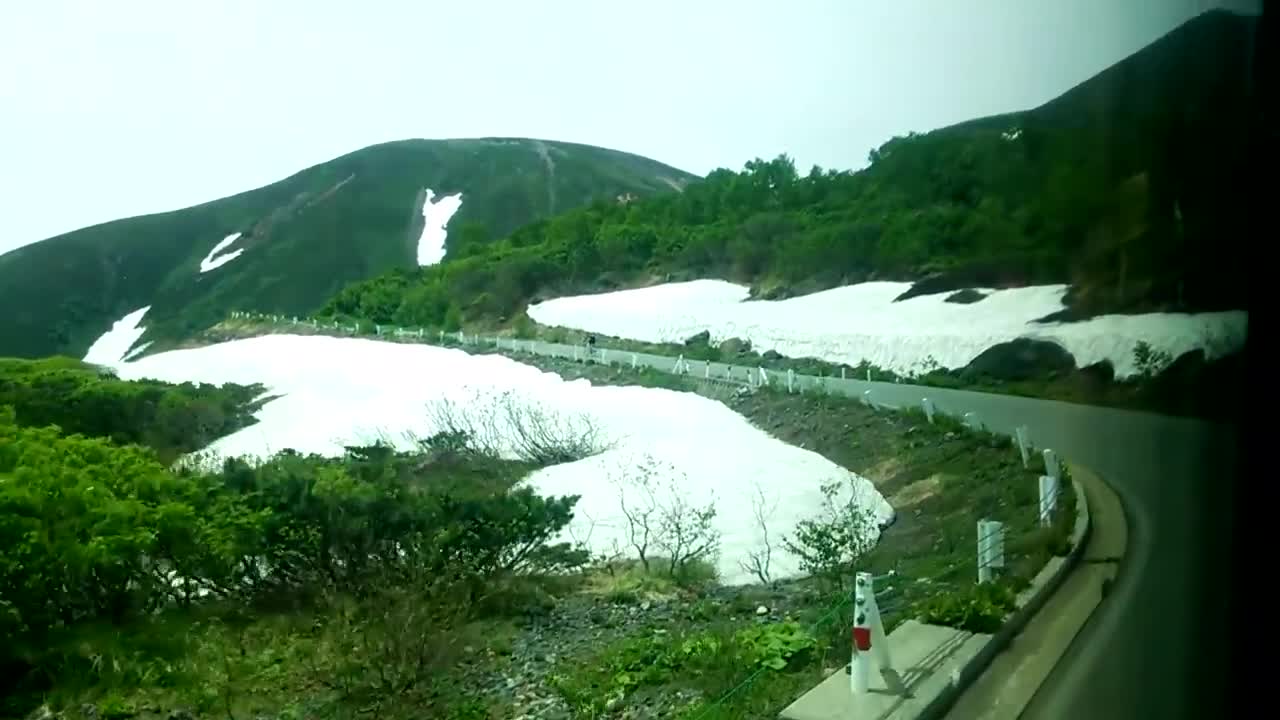 Japanesea a popular tourist attraction