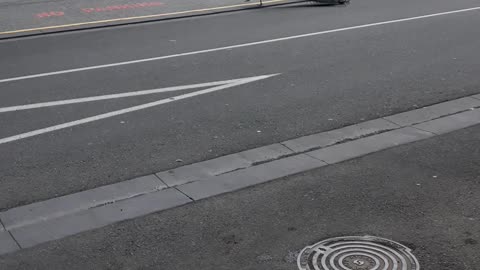 Peacock casually going for a stroll!!