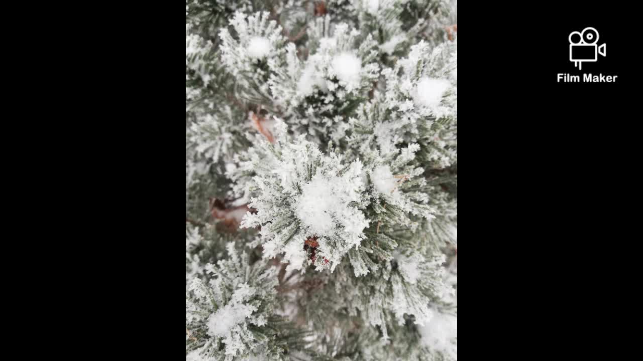 Winter in Poland