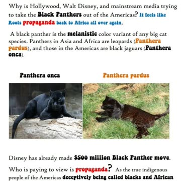 Pardus: From the Greek pardos, meaning "leopard" or "male panther".