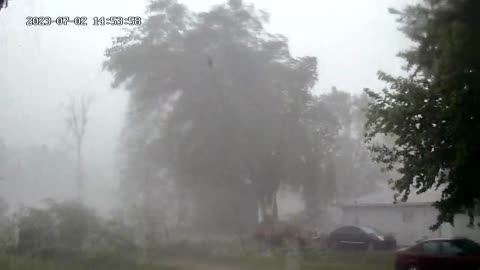 Tree being ripped in half