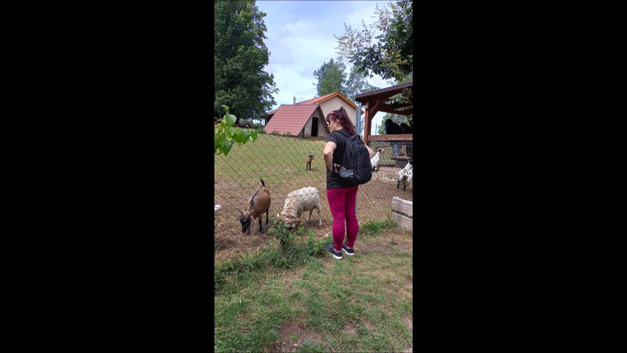 6 - ZOO na Hrádečku