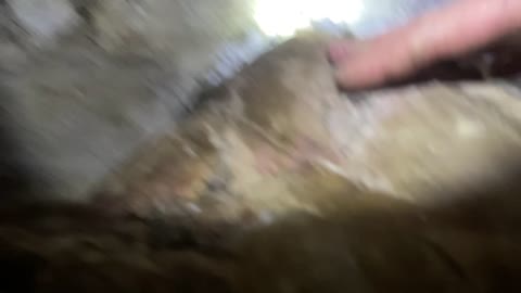 2022-11-28 (4.2) - Catastrophe (live parallèle - voir versions 'avec chat' pour visionnage optimal)