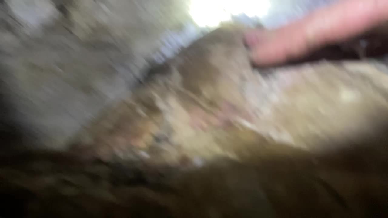 2022-11-28 (4.2) - Catastrophe (live parallèle - voir versions 'avec chat' pour visionnage optimal)