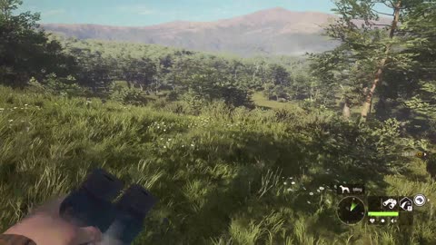 Welcome to PATAGONIA!!! | Parque Fernando | theHunter: Call of the Wild
