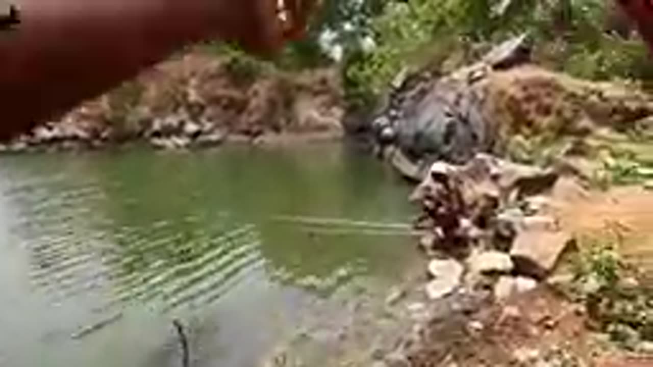 FISH CATCHING VIDEO