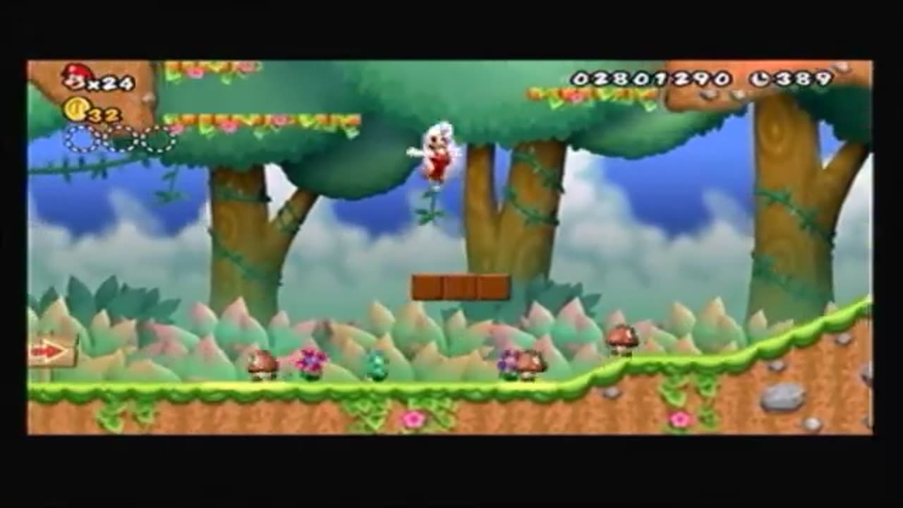 New Super Mario World Wii 5 - 4