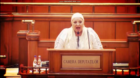 30 de ani de la adoptarea Constituției României - Discurs Senator Diana Iovanovici-Șoșoacă