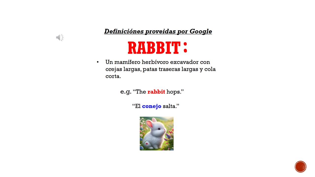 Palabra Del día en Inglés 'rabbit'