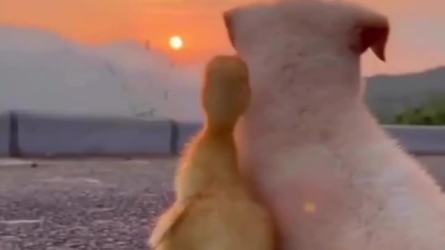 God teaches us through his creation!