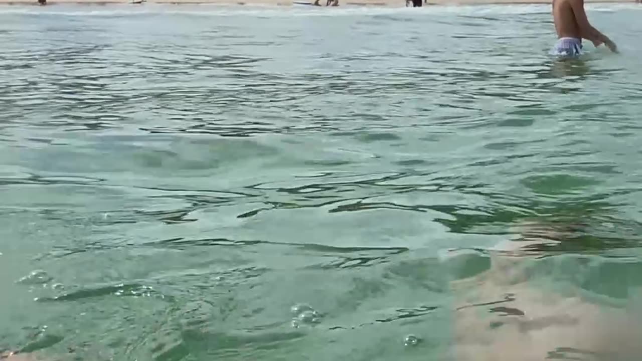 Curtindo uma tarde na praia de Quatro Ilhas, Bombinhas - SC | Som Ambiente