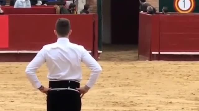 Spain bull fighting #spain #bullfight #shorts #respect