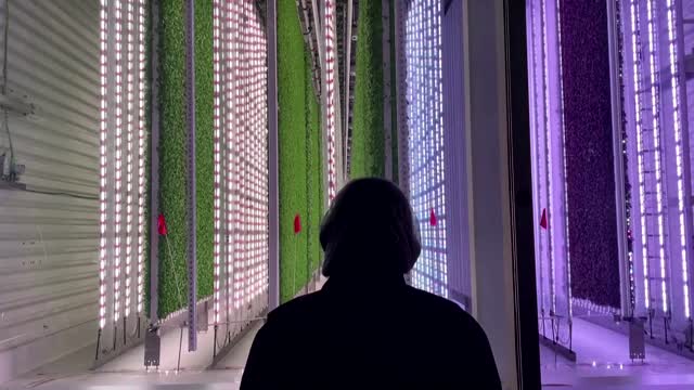 Vertical farm gets $400 million boost from Walmart