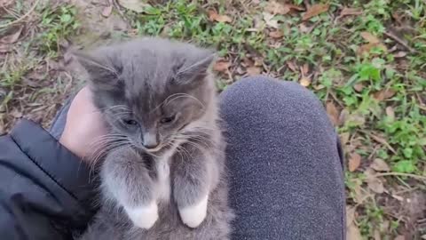 Fluff Ball on my lap!!