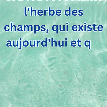 "La Foi et la Providence de Dieu" Matthieu 6:30.