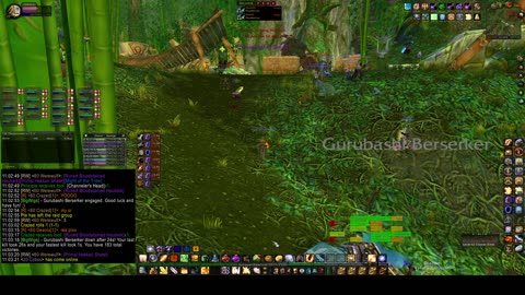 Turtle Wow - PUG ZG - 29 July - paladin POV