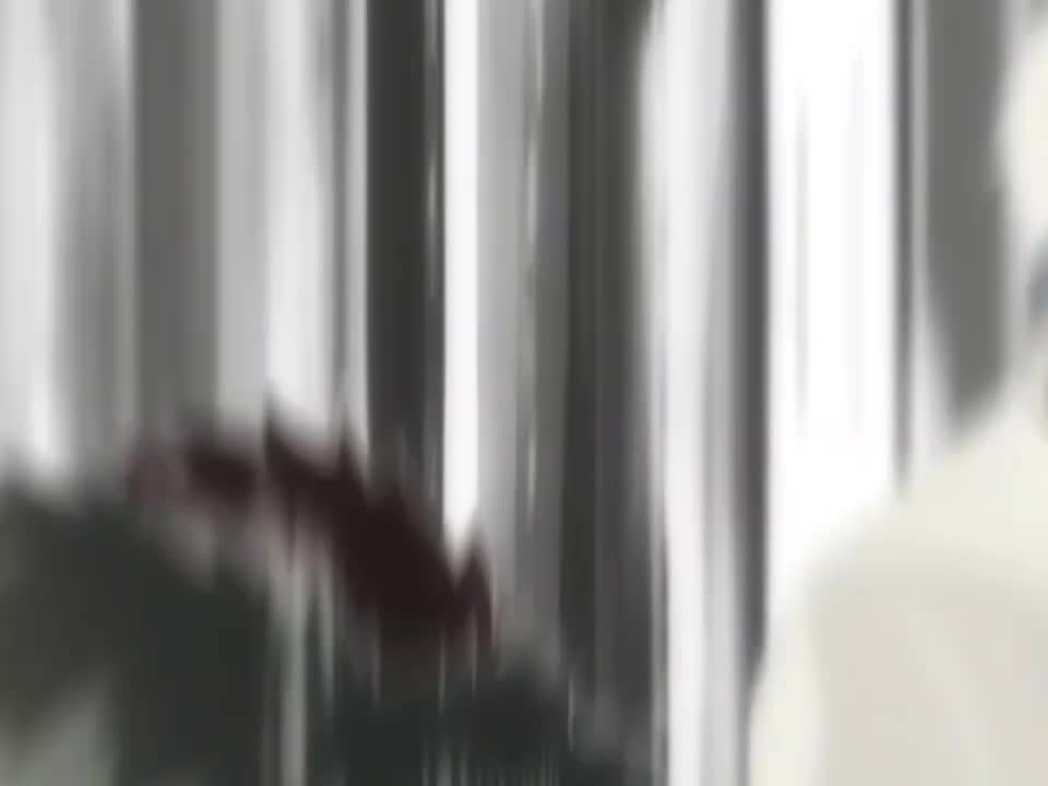 Ayanokoji x Yuuichi x Johan [Edit_AMV]