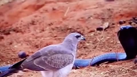 Unexpected moment