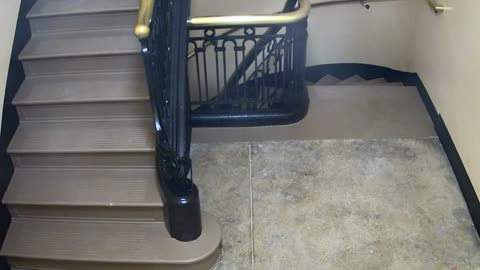 5189CHOB04Stair3_2021-01-06_04h20min01s853ms.mp4