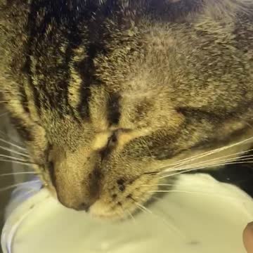 Jimmy is Charlie’s brother