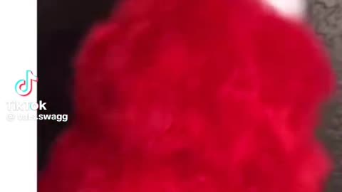 Smells like bitch in here