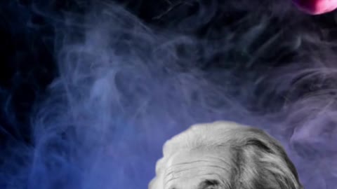 Albert Einstein life quotes