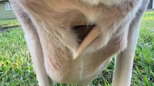 LOOKATTHOSELEGSCRAMMEDINTHERE