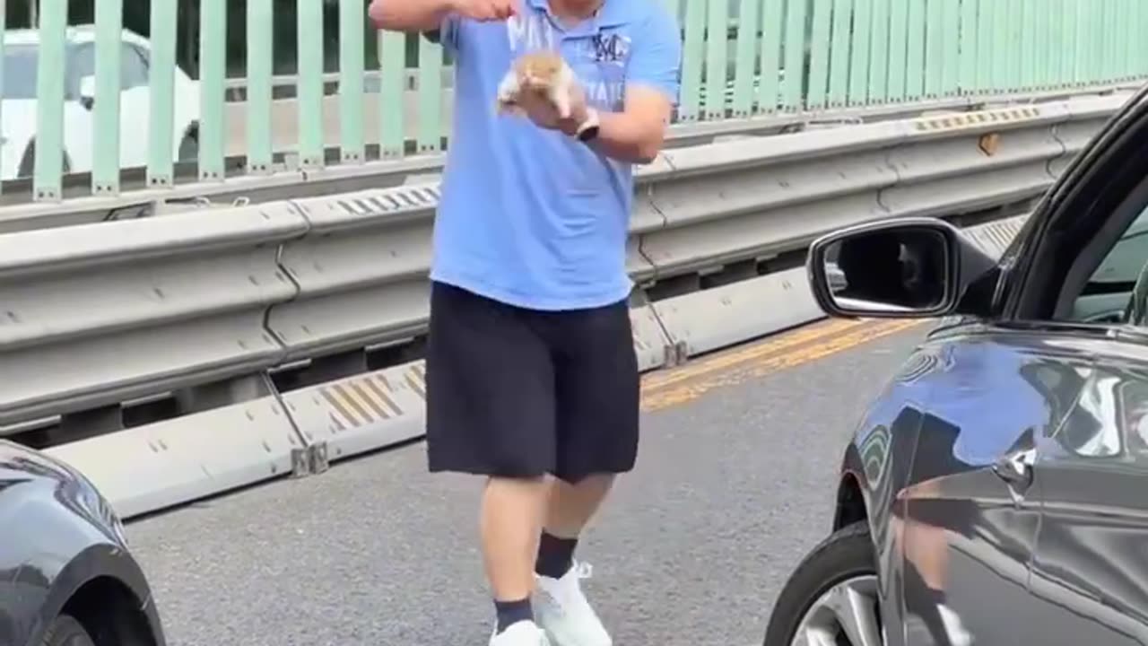 Thanks to this angel for saving the kitten