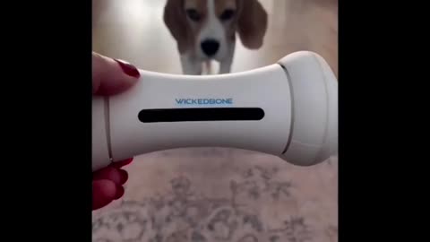 Cutest Puppy toy ever. Best Dog reaction