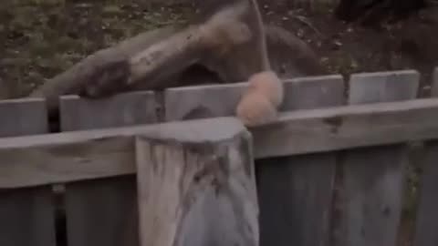 No matter how bad your day is