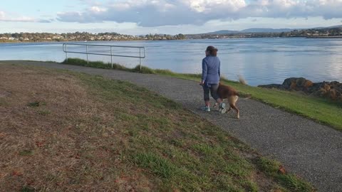 Woman strolling with her dog in the park