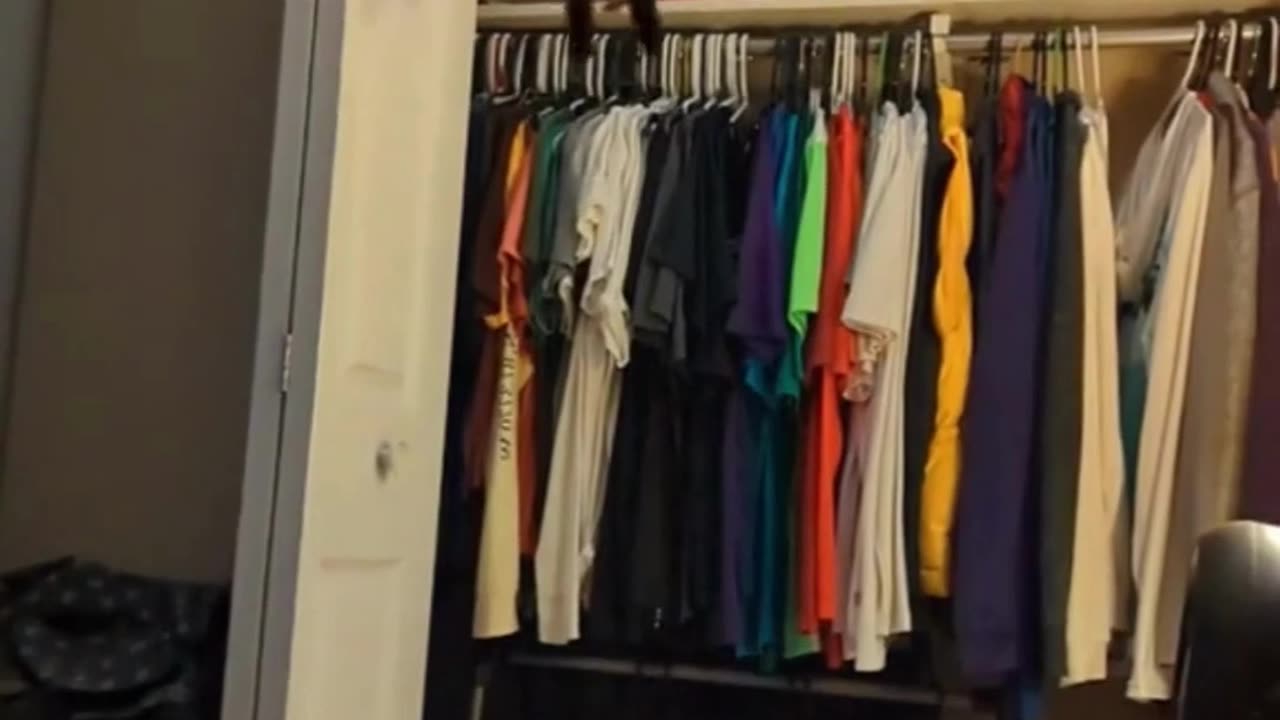 Funny Cats 😍Jumping Perfect style