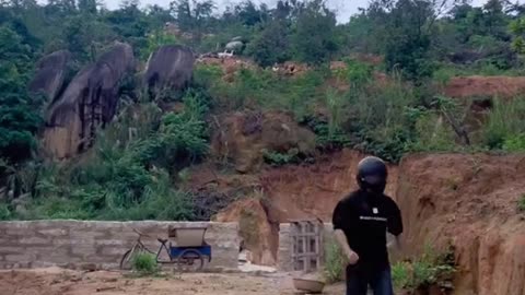 Funny Animals