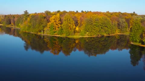 Enchanting Autumn Forests with Beautiful Piano Music