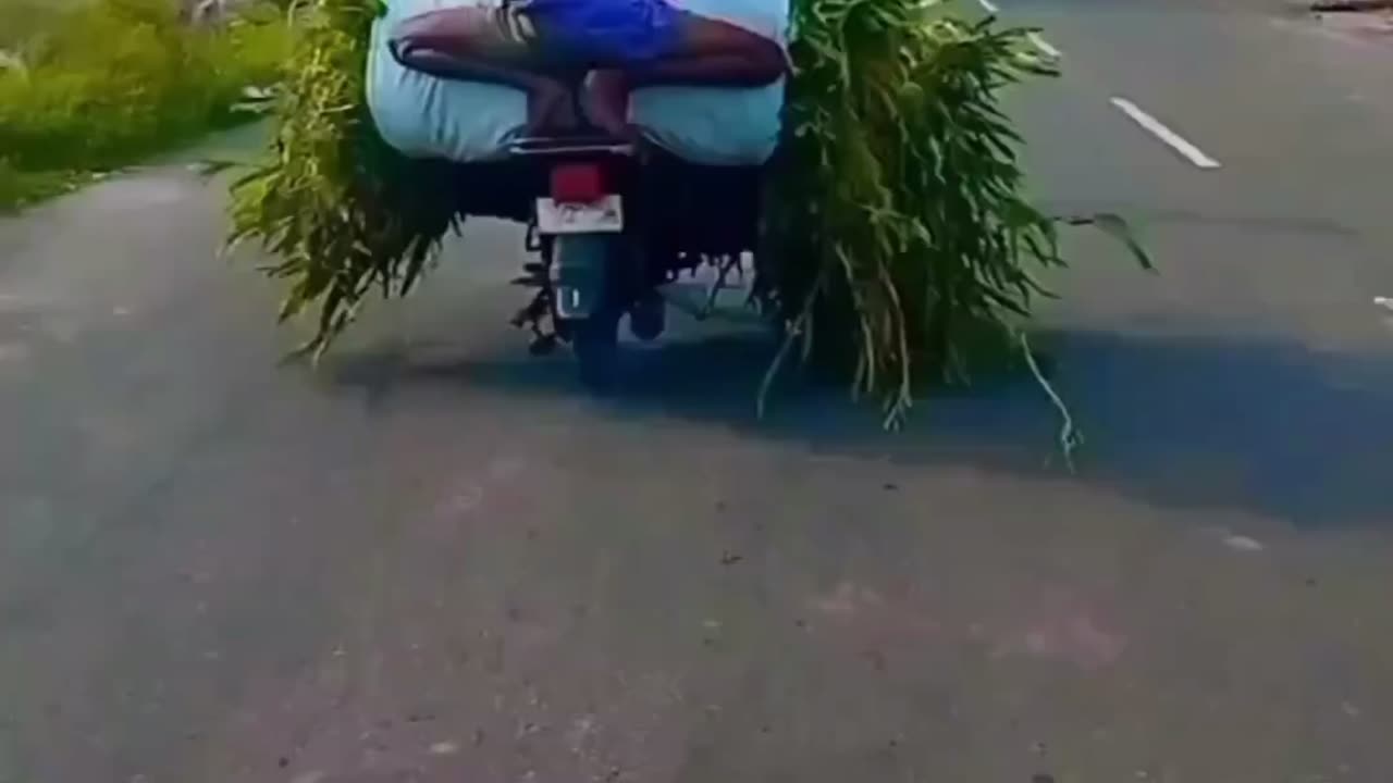 Indian’s Driving Skills 😂😂