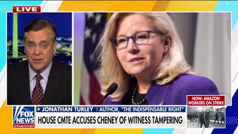 Jonathan Turley reacts to a Liz Cheney potential pardon