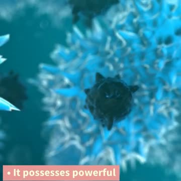 Olive Leaf Extract Unveiling the Hidden Health Elixir