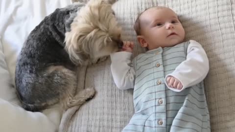 Cute baby and dog