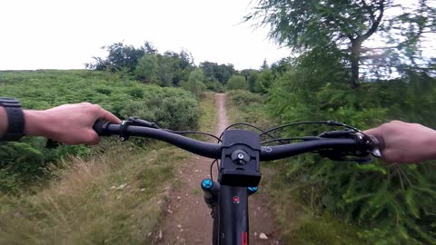 Cwmcarn Forest MTB - Twrch Trail - Airstream 1 - Full Run - 24 07 2023