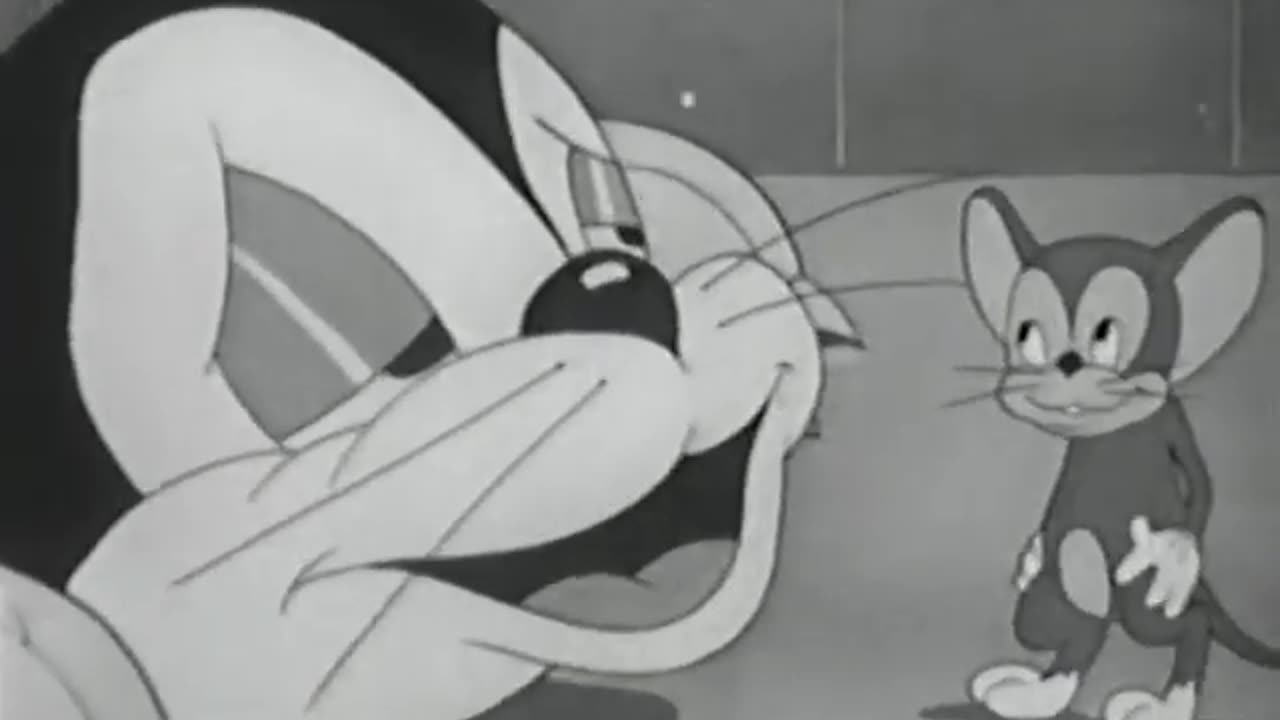 Columbia Pictures Cartoons - 1941x11 - Kitty Gets The Bird