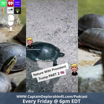 Trump in Nature, part 2