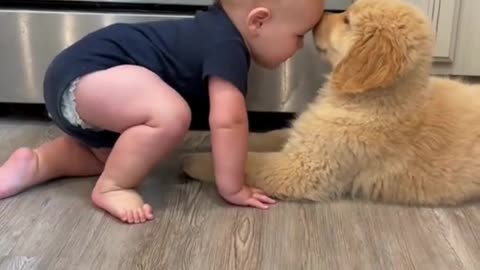 Cute & Funny Baby 😍😍😅😅 #shorts #reels #viral #baby #cutebaby #funnybaby #kids #babies #feelingsbaby