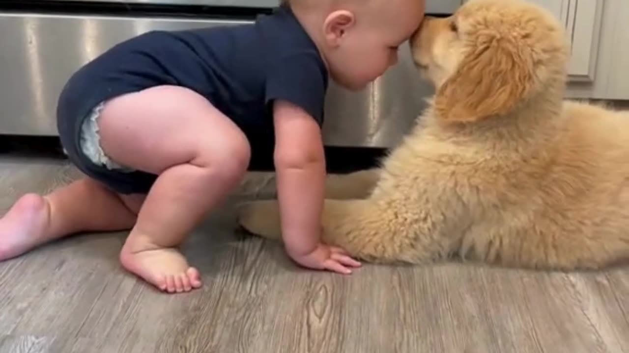 Cute & Funny Baby 😍😍😅😅 #shorts #reels #viral #baby #cutebaby #funnybaby #kids #babies #feelingsbaby