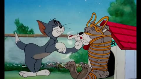 Tom and Jerry Funny Scene 😂